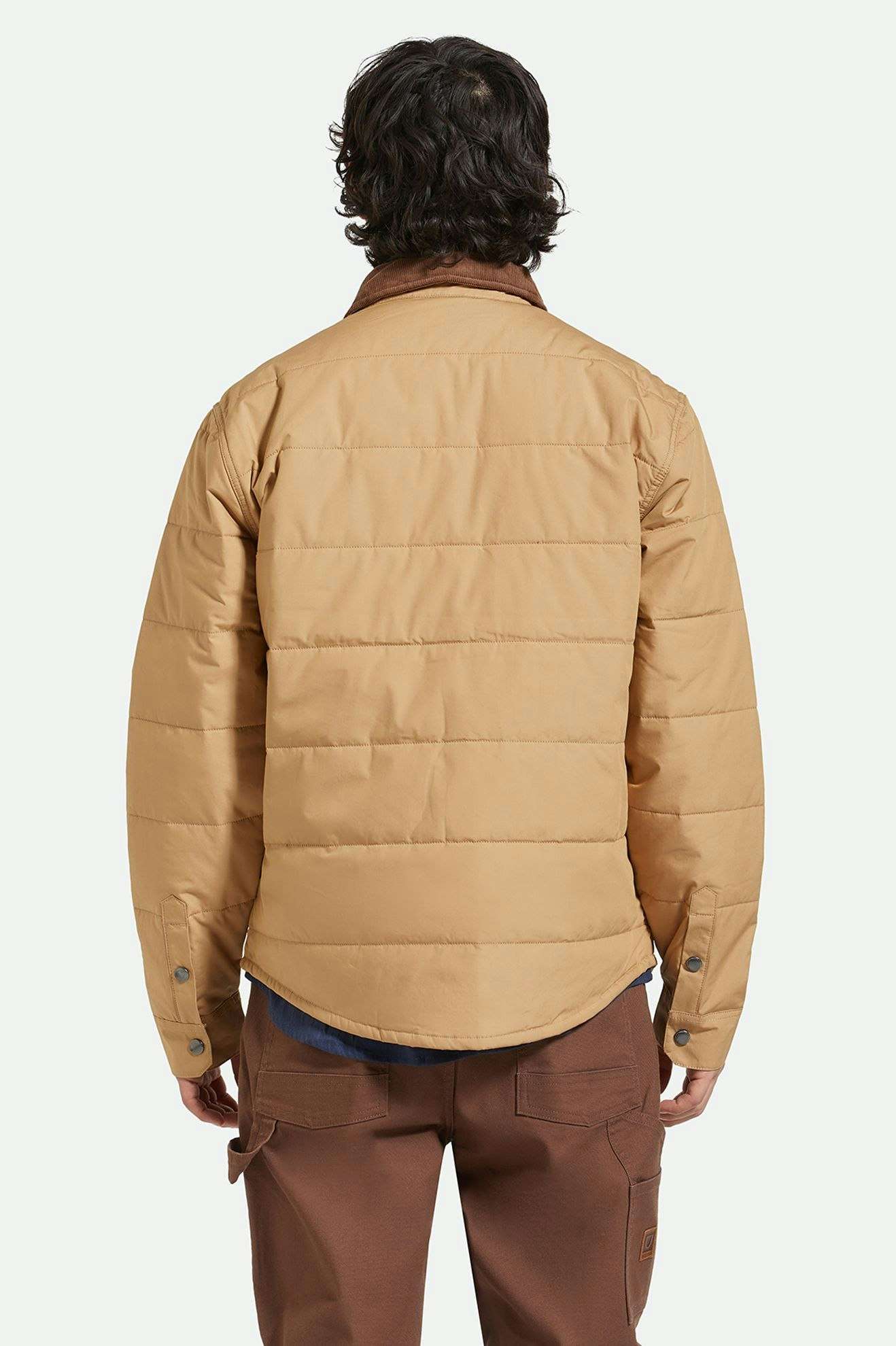 Model Photo of Back of Brixton Men's Cass Jacket - Tigers Eye